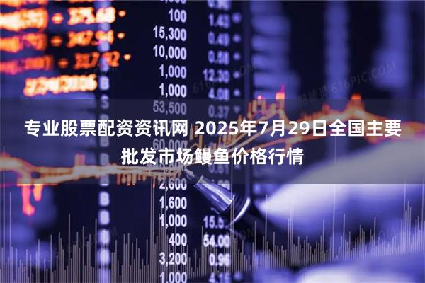 专业股票配资资讯网 2025年7月29日全国主要批发市场鳗鱼价格行情